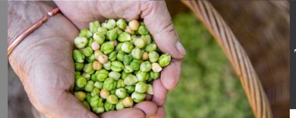 Pulses